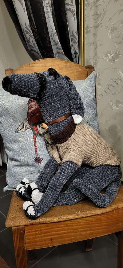 Windhunde - Treffen der besonderen Schönheiten
HERZLICH WILLKOMMEN-Beitrag-Bild