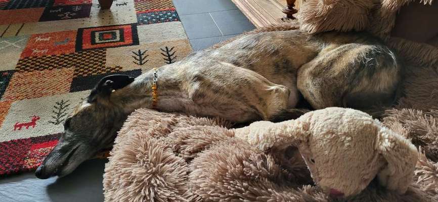 Foto Challenge Nr. 134-Beitrag-Bild