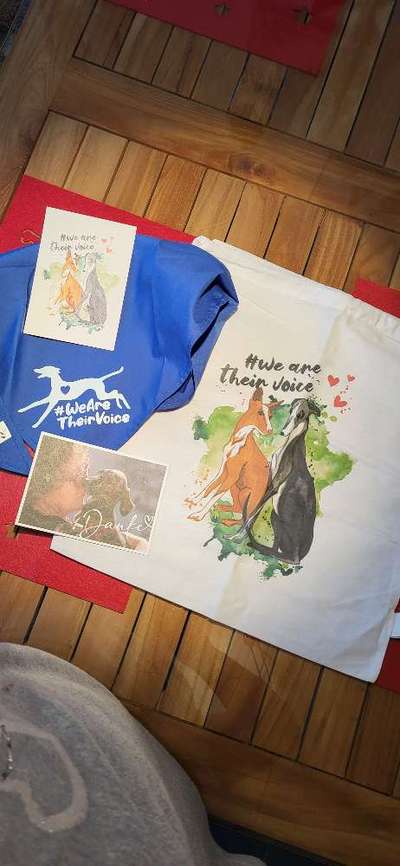 Windhunde - Treffen der besonderen Schönheiten
HERZLICH WILLKOMMEN-Beitrag-Bild