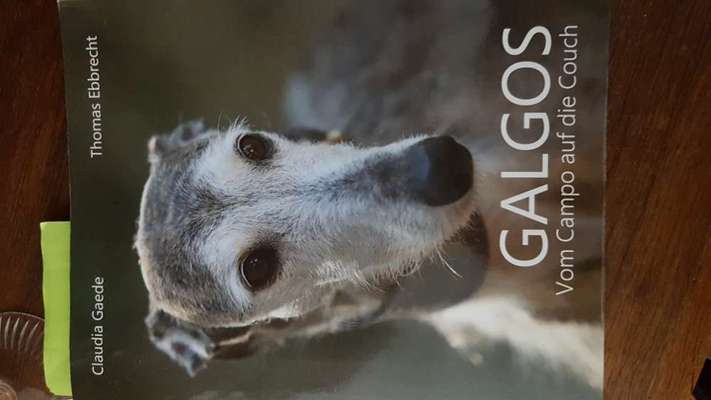 Windhunde - Treffen der besonderen Schönheiten
HERZLICH WILLKOMMEN-Beitrag-Bild