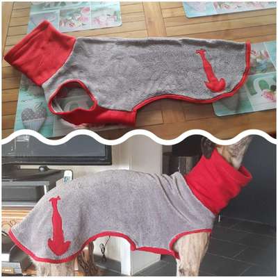 Windhunde - Treffen der besonderen Schönheiten
HERZLICH WILLKOMMEN-Beitrag-Bild