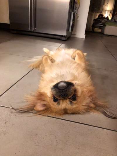 Lieblingsbild-Beitrag-Bild