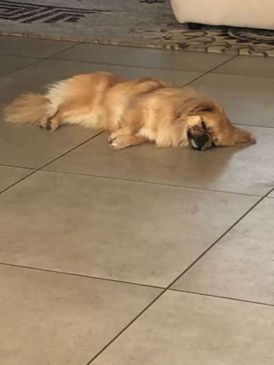 4. Lustiger Schlafplatz-Beitrag-Bild