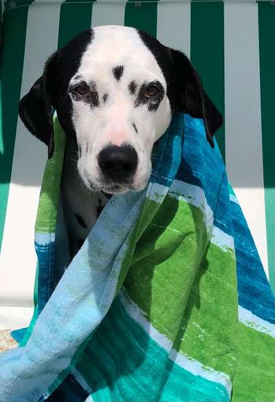 32. Farben Challenge  ** ( BUNTE ) STREIFEN **-Beitrag-Bild