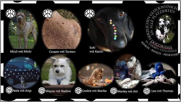 34. Farben-Challenge: Punkte - Punkte - Pünktchen-Beitrag-Bild