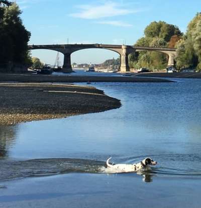 Foto Challenge Thema "Brücke"-Beitrag-Bild