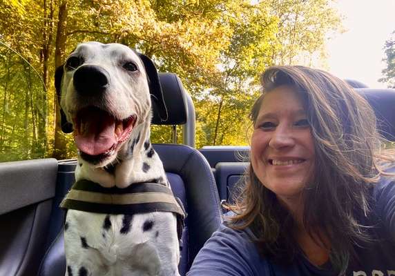 Foto Challenge Thema "Hunde im Auto"-Beitrag-Bild