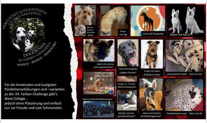 34. Farben-Challenge: Punkte - Punkte - Pünktchen-Beitrag-Bild