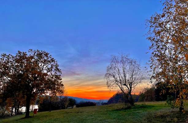 Die wunderschöne Welt mit Hund.-Beitrag-Bild