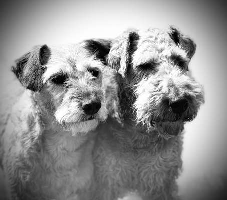 Fotochallenge Nr. 67: Euer Lieblingsbild-Beitrag-Bild