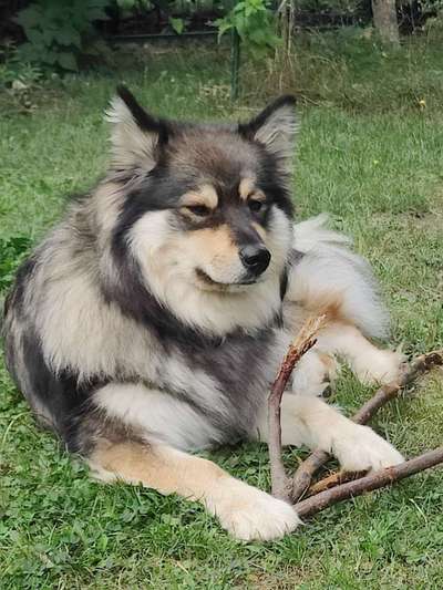 Ist das ein...?-Beitrag-Bild