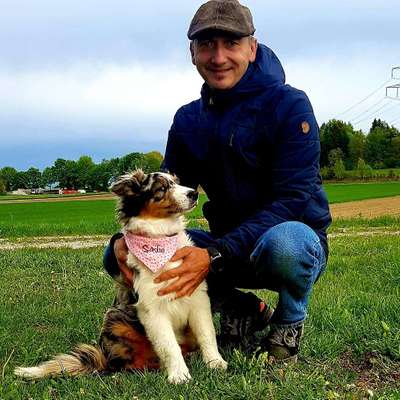 Hundetreffen-Spazieren gehen-Profilbild