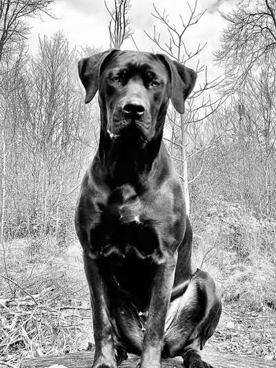 Foto-Challenge 76: Foto in Schwarz-Weiss-Beitrag-Bild