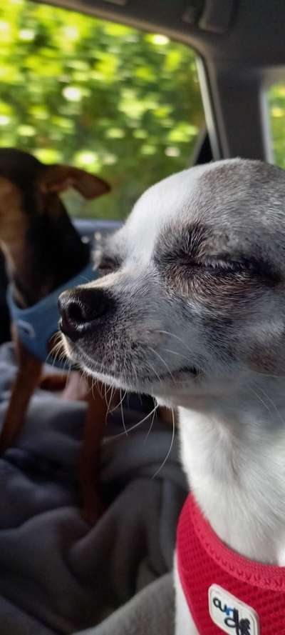 Zeigt eure Portraits-Beitrag-Bild