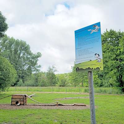 Hundetreffen-Visselhövede Hundetreffen-Bild