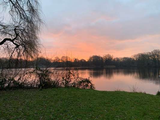 Hundeauslaufgebiet-Nadorst Flötenteich-Bild