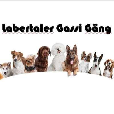 Hundetreffen-Labertaler Gassi Gang-Bild