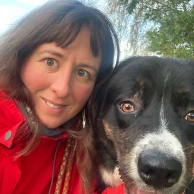 Hundetreffen-Gemeinsamer Spaziergang