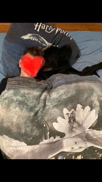 Schlafzeit!💖-Beitrag-Bild