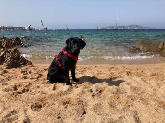 Eure Strandbilder :)-Beitrag-Bild