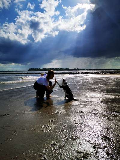 Dogorama-Monats-Challenge-Mai "Wasser"-Beitrag-Bild