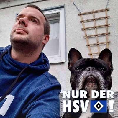 Hundetreffen-Alle Rasseen-Profilbild