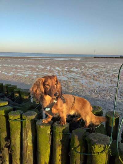 Eure Strandbilder :)-Beitrag-Bild