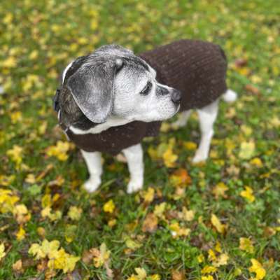 Jacqueline's Profilbild