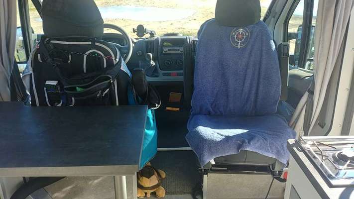 Mein Hund verhält sich neuerdings seltsam beim Autofahren-Beitrag-Bild