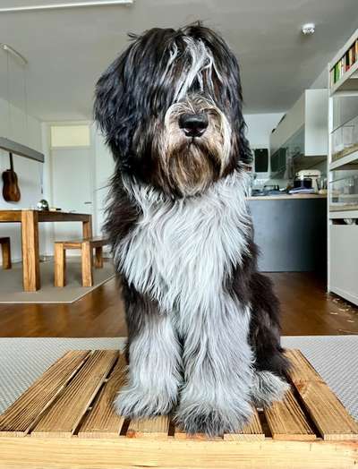 Lieblingsbild-Beitrag-Bild