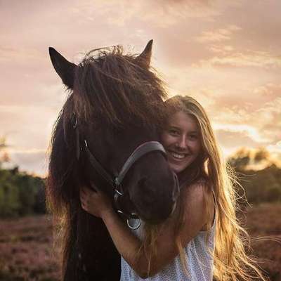 Hundetreffen-Welpenspiel in Steinhude-Profilbild