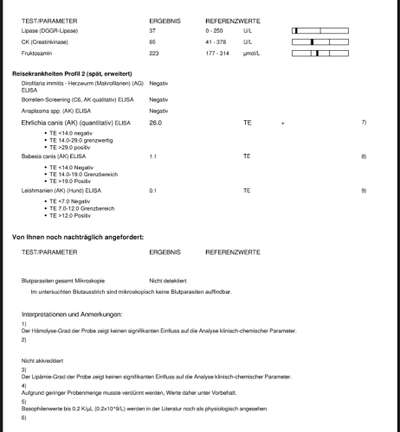 Hepatozonose & AK Ehrlichien-Beitrag-Bild