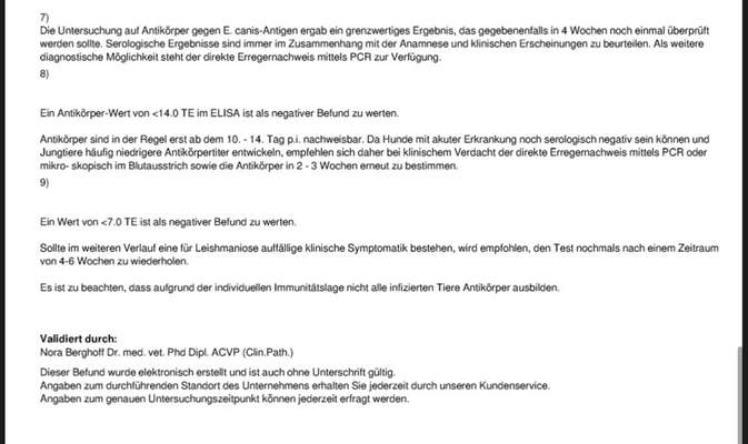 Hepatozonose & AK Ehrlichien-Beitrag-Bild
