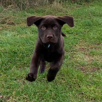 Foto Challenge 3-Beitrag-Bild