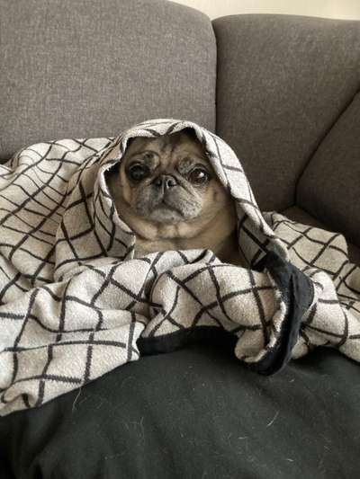 Fotochallenge Nr. 56 - geliebte Senioren-Beitrag-Bild