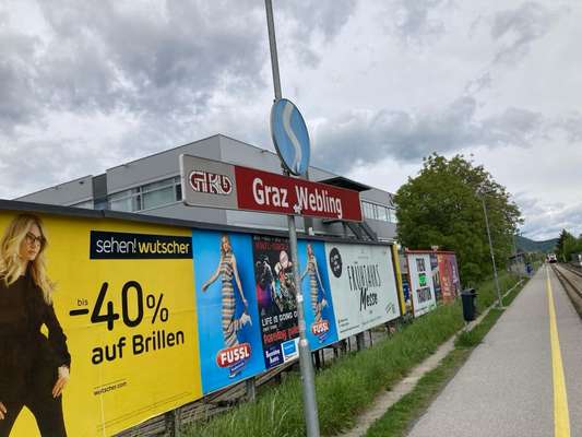 Giftköder-Fleischbällchen-Bild