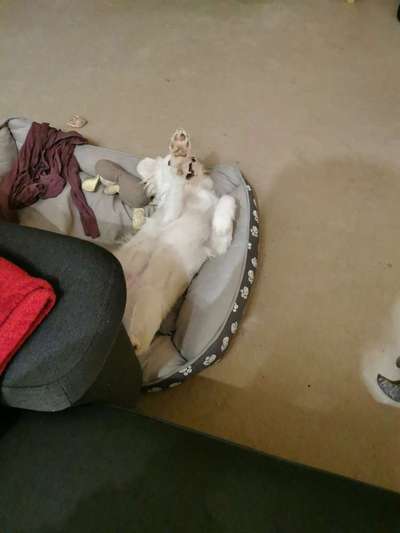 Fotochallenge Nr.65-Beitrag-Bild