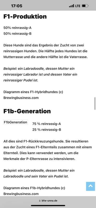 Eurasier hier?-Beitrag-Bild