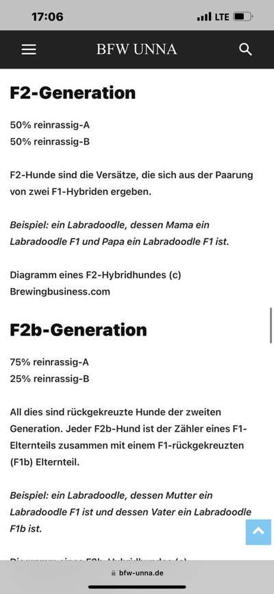 Eurasier hier?-Beitrag-Bild