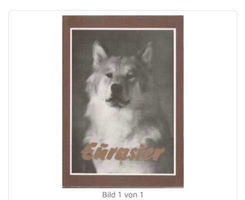 Eurasier hier?-Beitrag-Bild