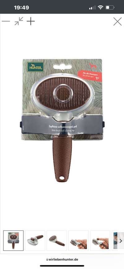 Eurasier hier?-Beitrag-Bild