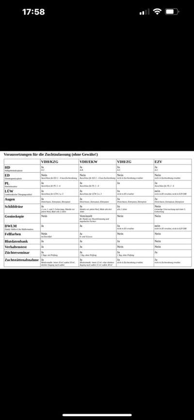 Eurasier hier?-Beitrag-Bild