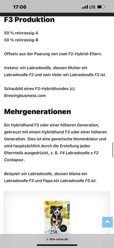 Eurasier hier?-Beitrag-Bild