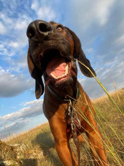 Das beste grinsefoto-Beitrag-Bild