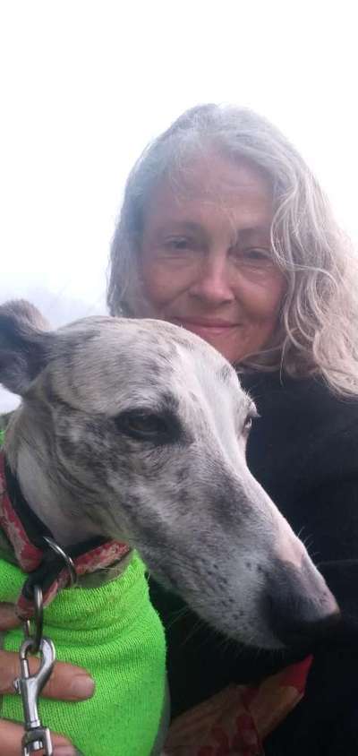 Windhunde - Treffen der besonderen Schönheiten
HERZLICH WILLKOMMEN-Beitrag-Bild