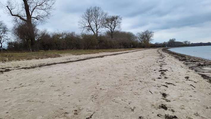 Hundeauslaufgebiet-Hundestrand Wolenberger Wiek-Bild