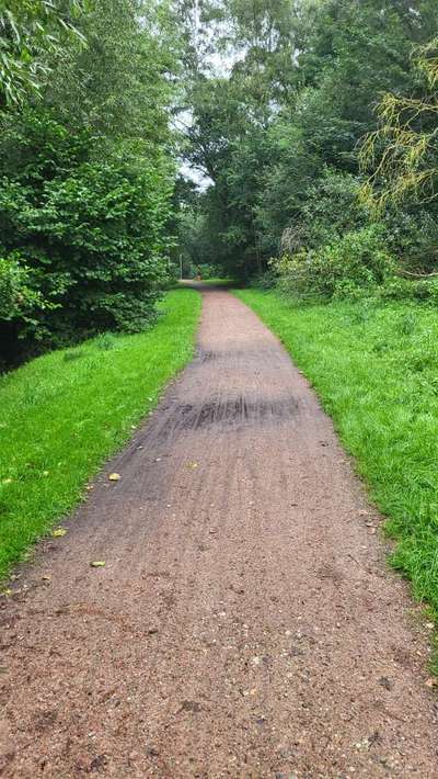 Hundeauslaufgebiet-Jenfelder Bach-Bild