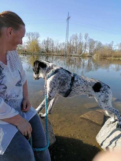 Dogorama-Monats-Challenge-Mai "Wasser"-Beitrag-Bild