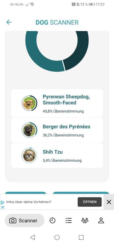 Welche Rassen könnten das sein ?!-Beitrag-Bild