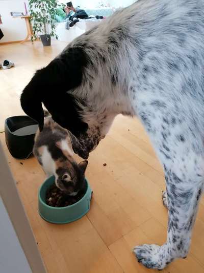 Challenge 30  Freundschaft-Beitrag-Bild